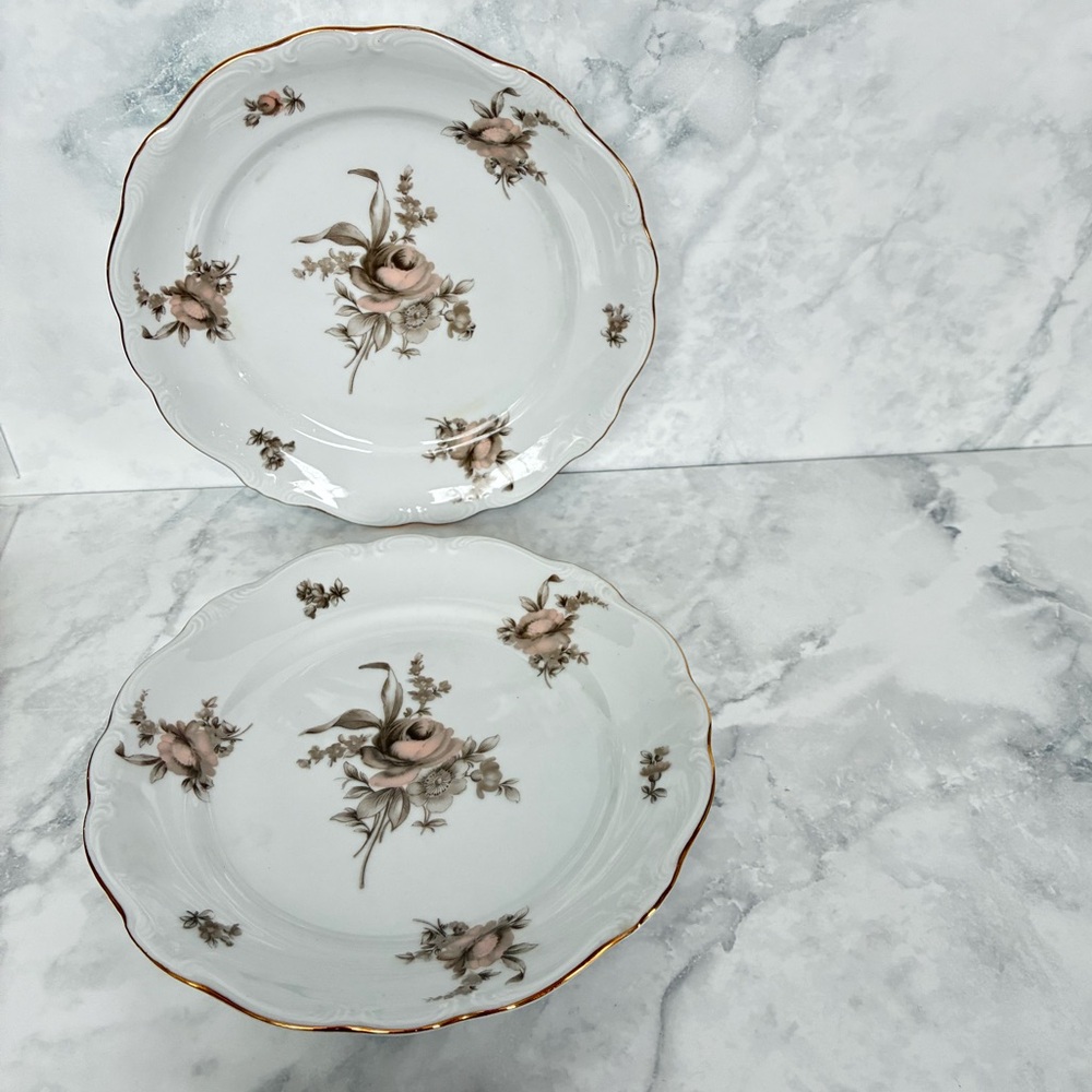 JOHANN HAVILAND SEPIA ROSE BAVARIA GERMANY Two Salad or Dessert Plates. 1940s